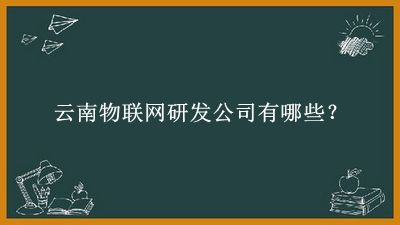 云南物聯(lián)網(wǎng)研發(fā)公司